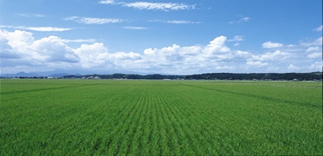 大郷町