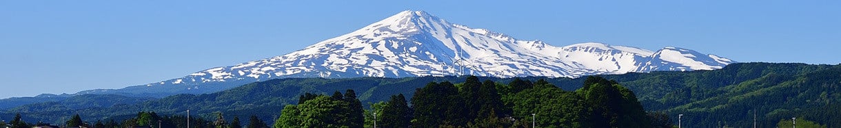 由利本荘市