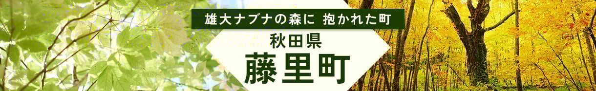 藤里町