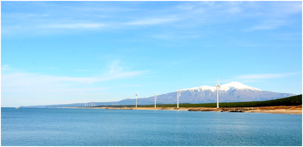 酒田市