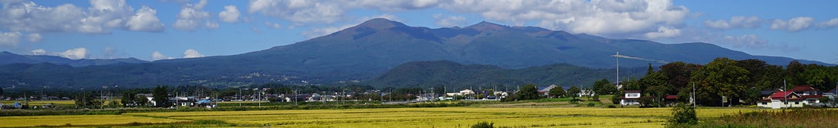 大玉村