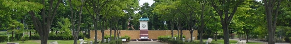 中島村