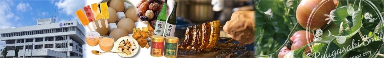 龍ケ崎市