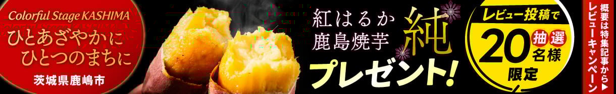 鹿嶋市