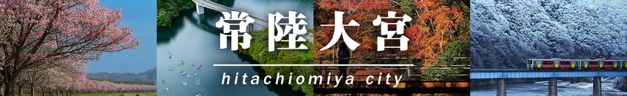 常陸大宮市