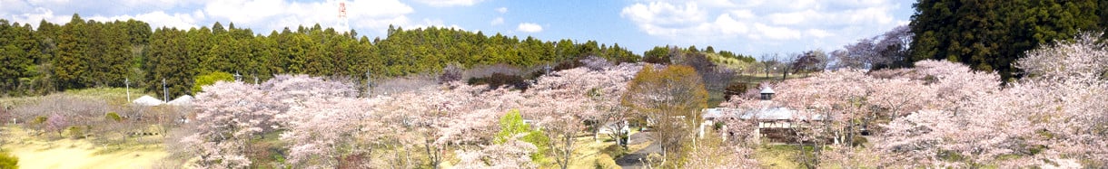 那珂市