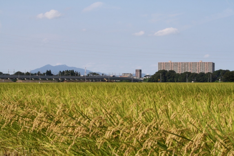 つくばみらい市