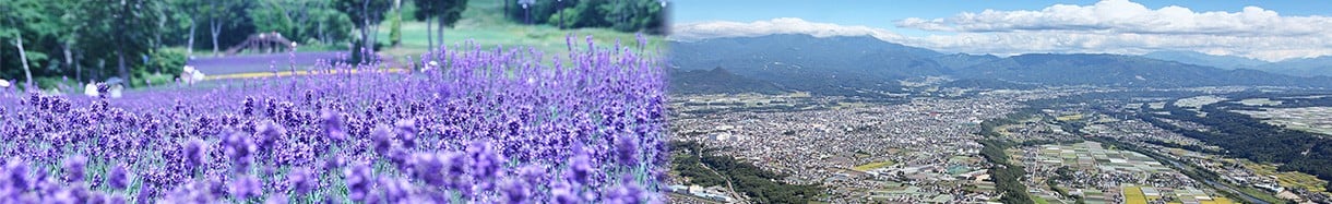 沼田市