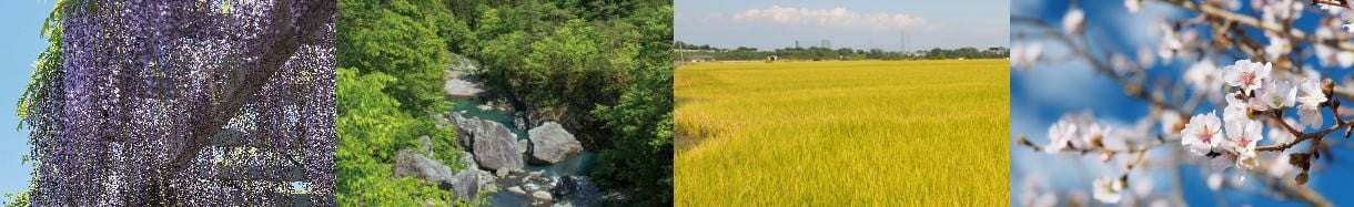 藤岡市