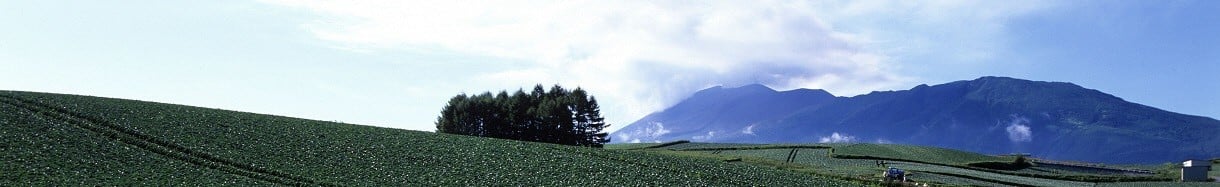 嬬恋村