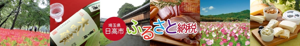 日高市