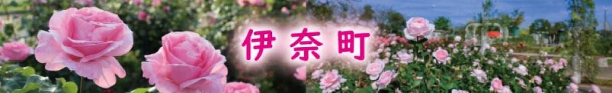 伊奈町