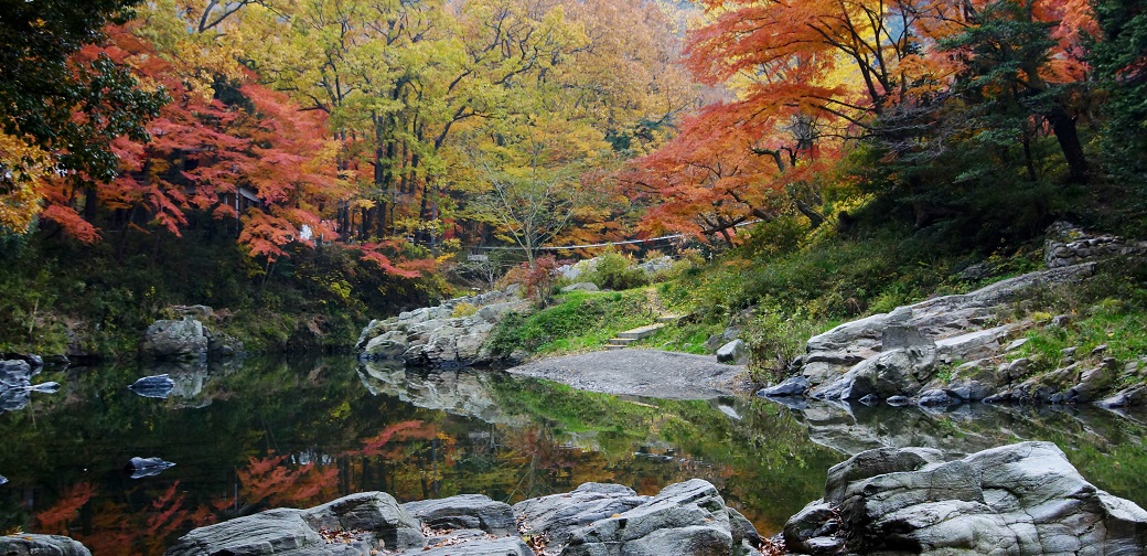 嵐山町