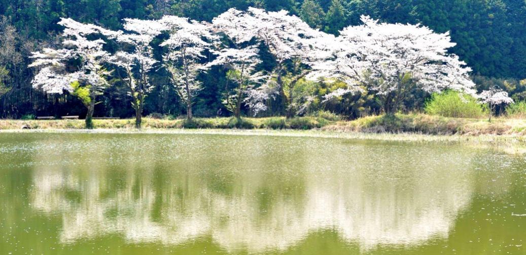 鳩山町