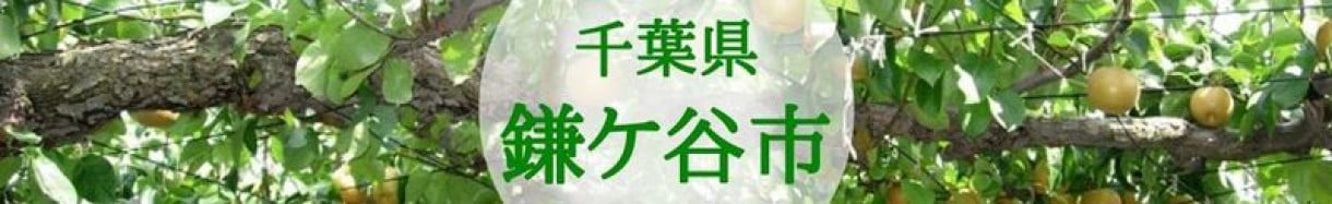 鎌ケ谷市
