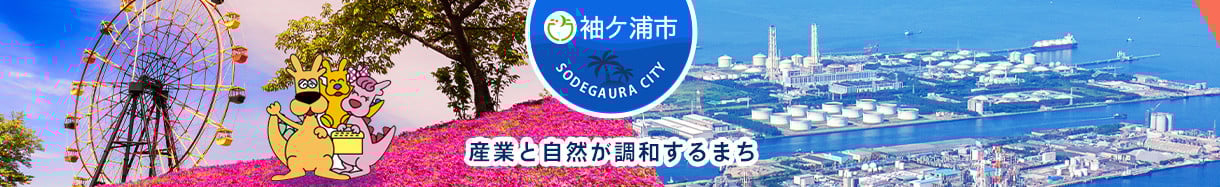 袖ケ浦市