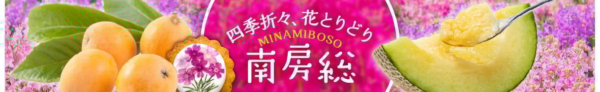 南房総市