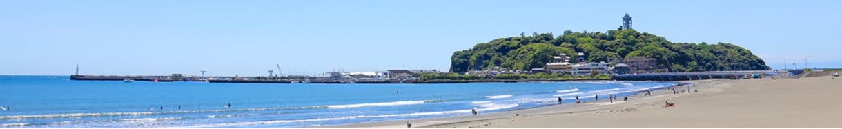 藤沢市