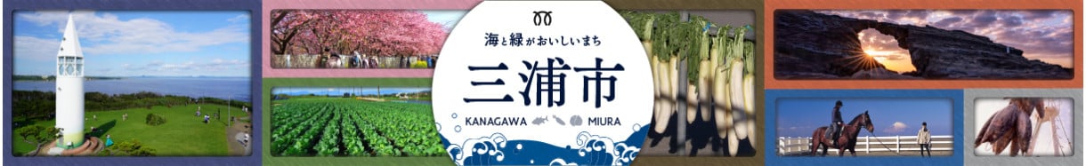 三浦市