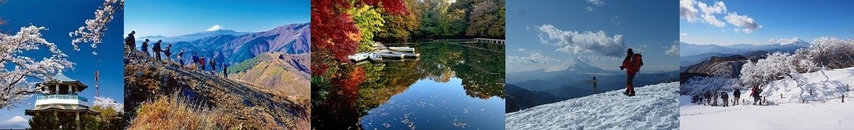 秦野市
