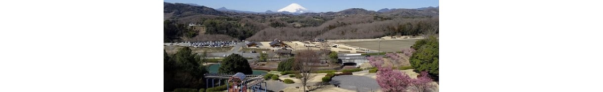 中井町
