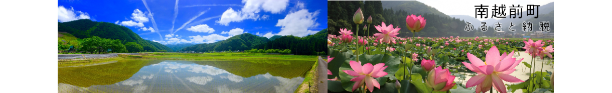 南越前町