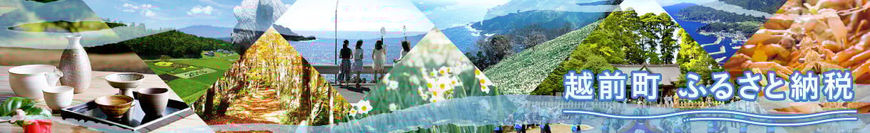越前町