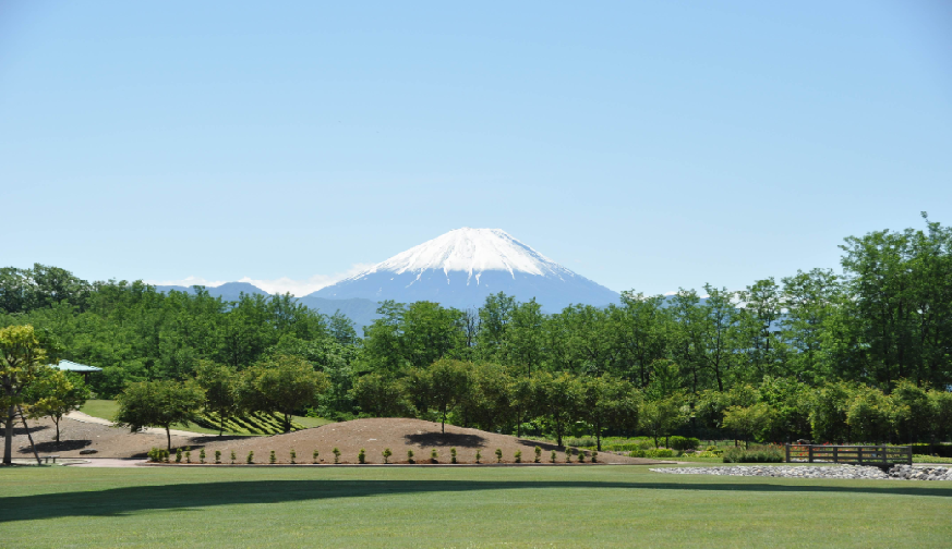 甲斐市