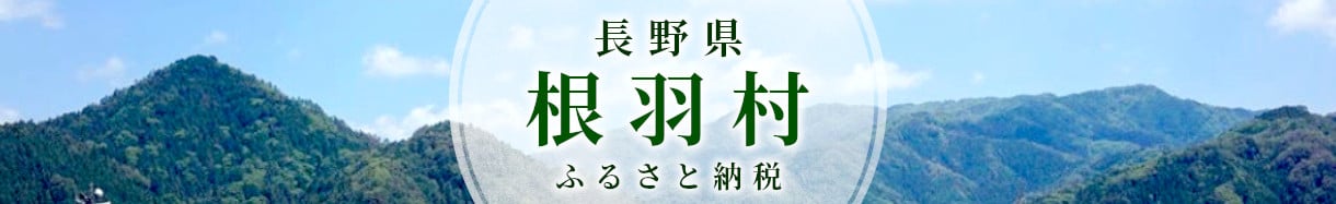 根羽村