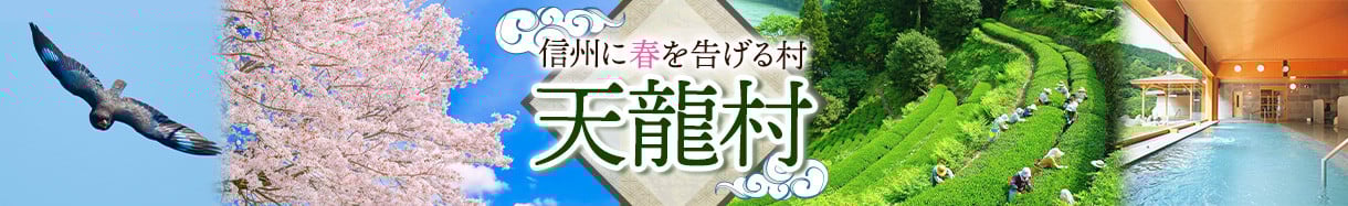天龍村