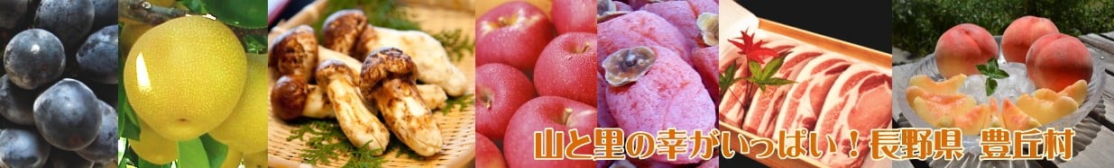 豊丘村