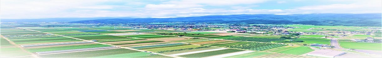 山形村