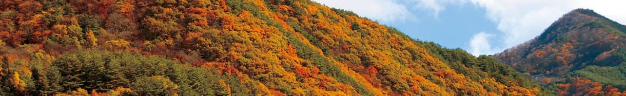 筑北村