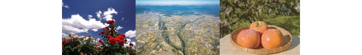 大野町
