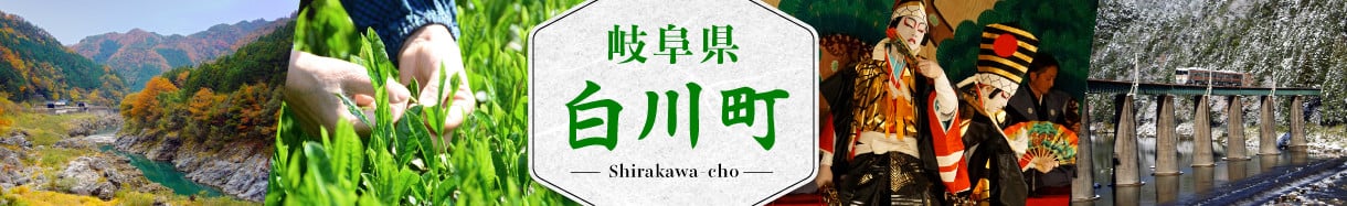 白川町