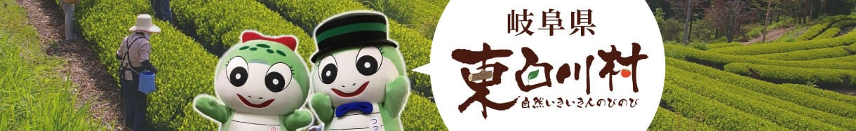 東白川村