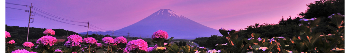 裾野市