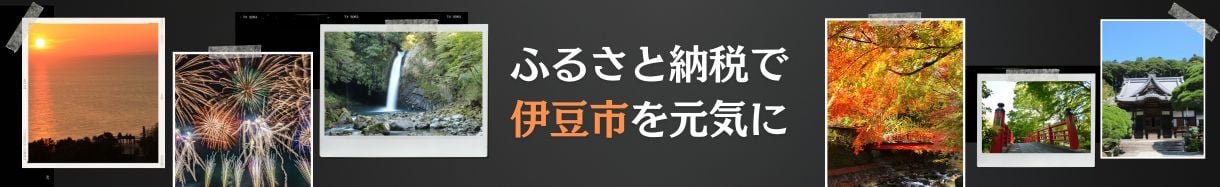 伊豆市