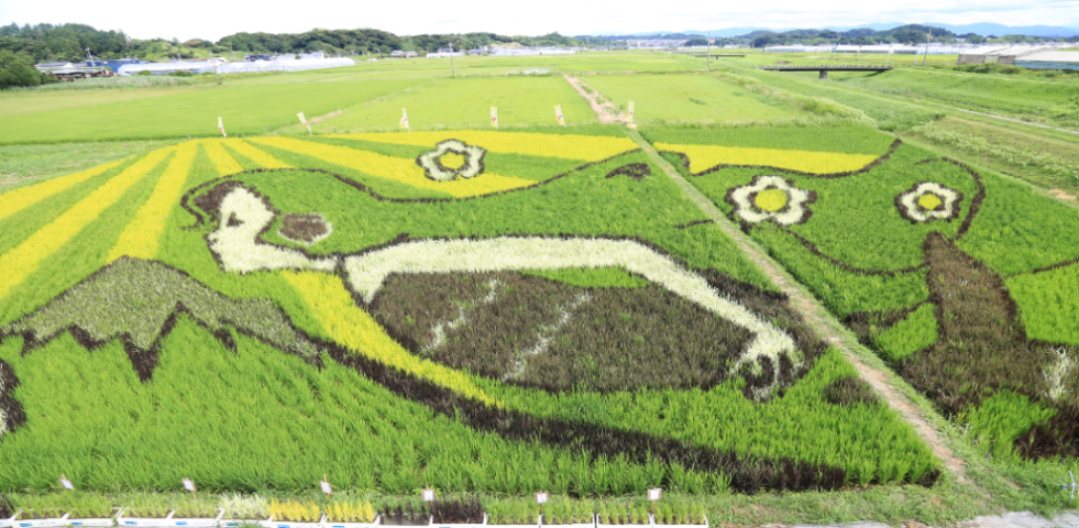 菊川市