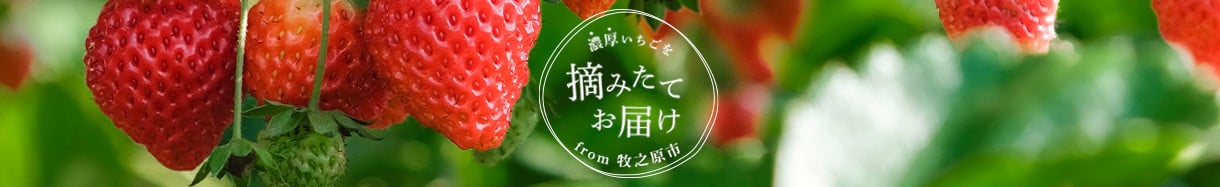 牧之原市