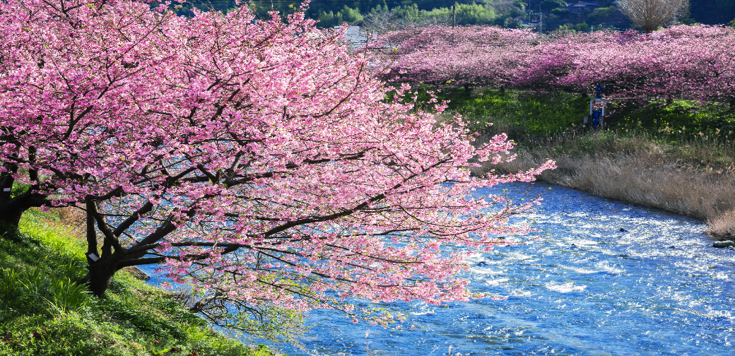 河津町