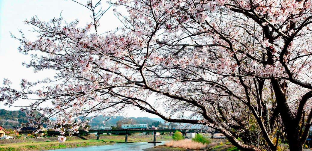 森町