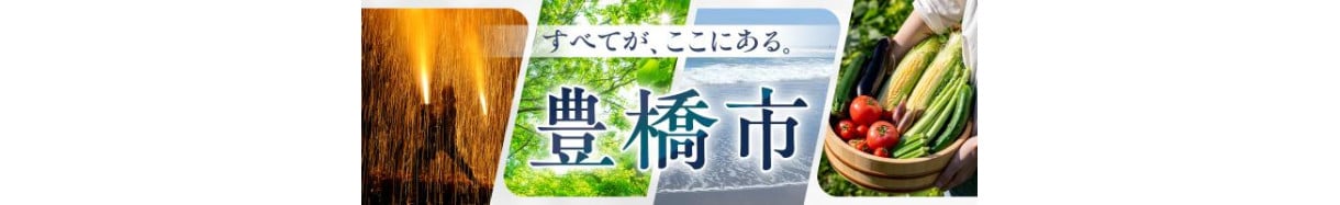 豊橋市