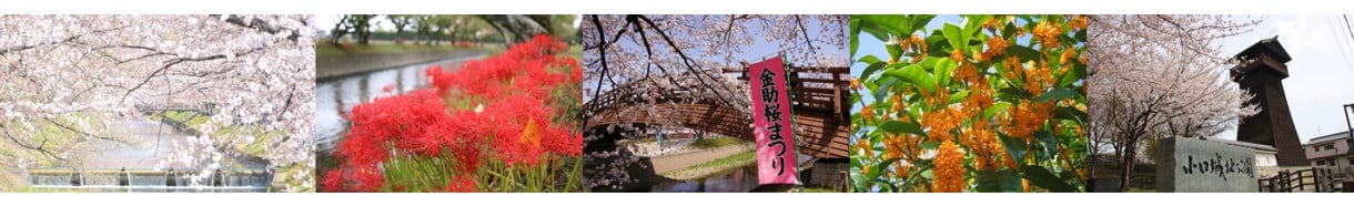 大口町