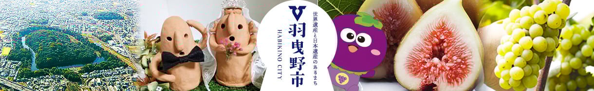 羽曳野市