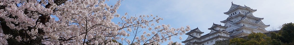 姫路市