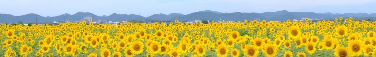 小野市