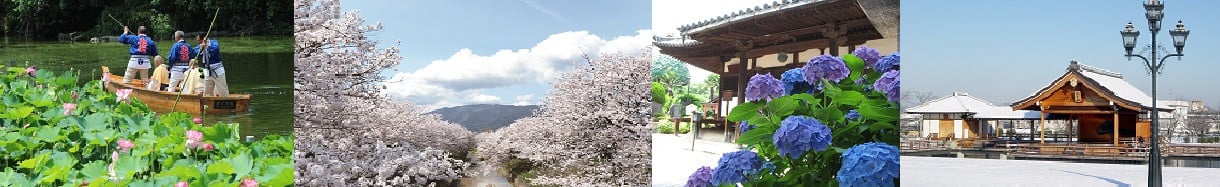 大和高田市