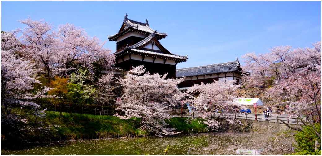 大和郡山市