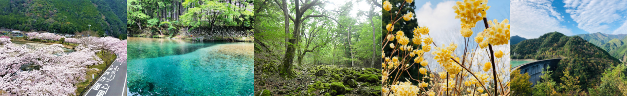下北山村